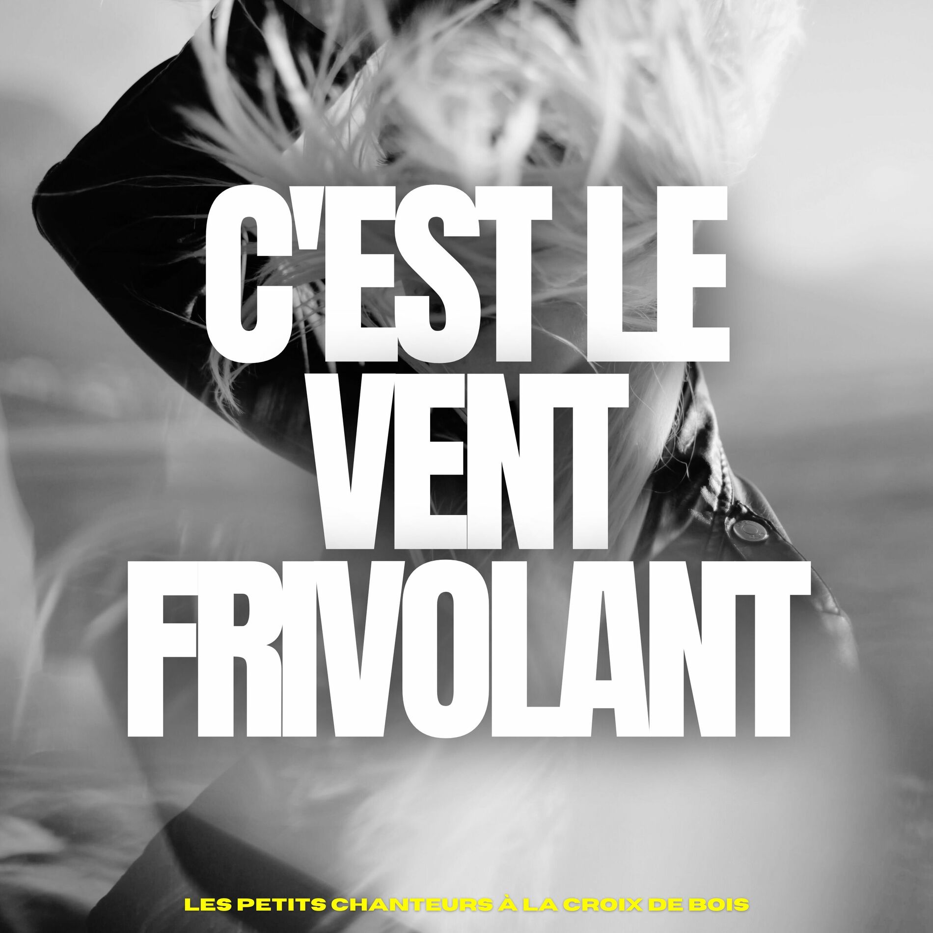 Album cover of C'est le vent frivolant