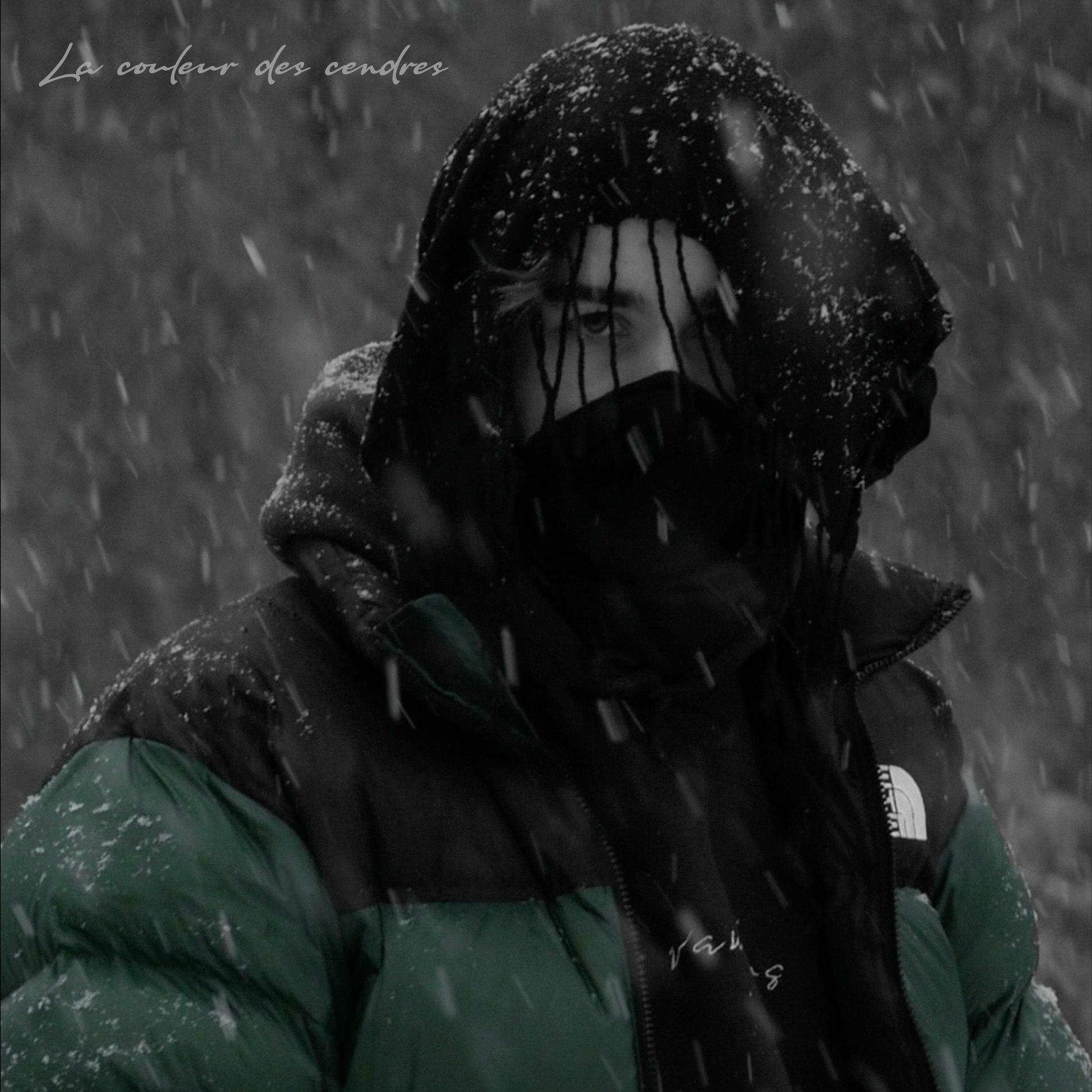 Album cover of La couleur des cendres