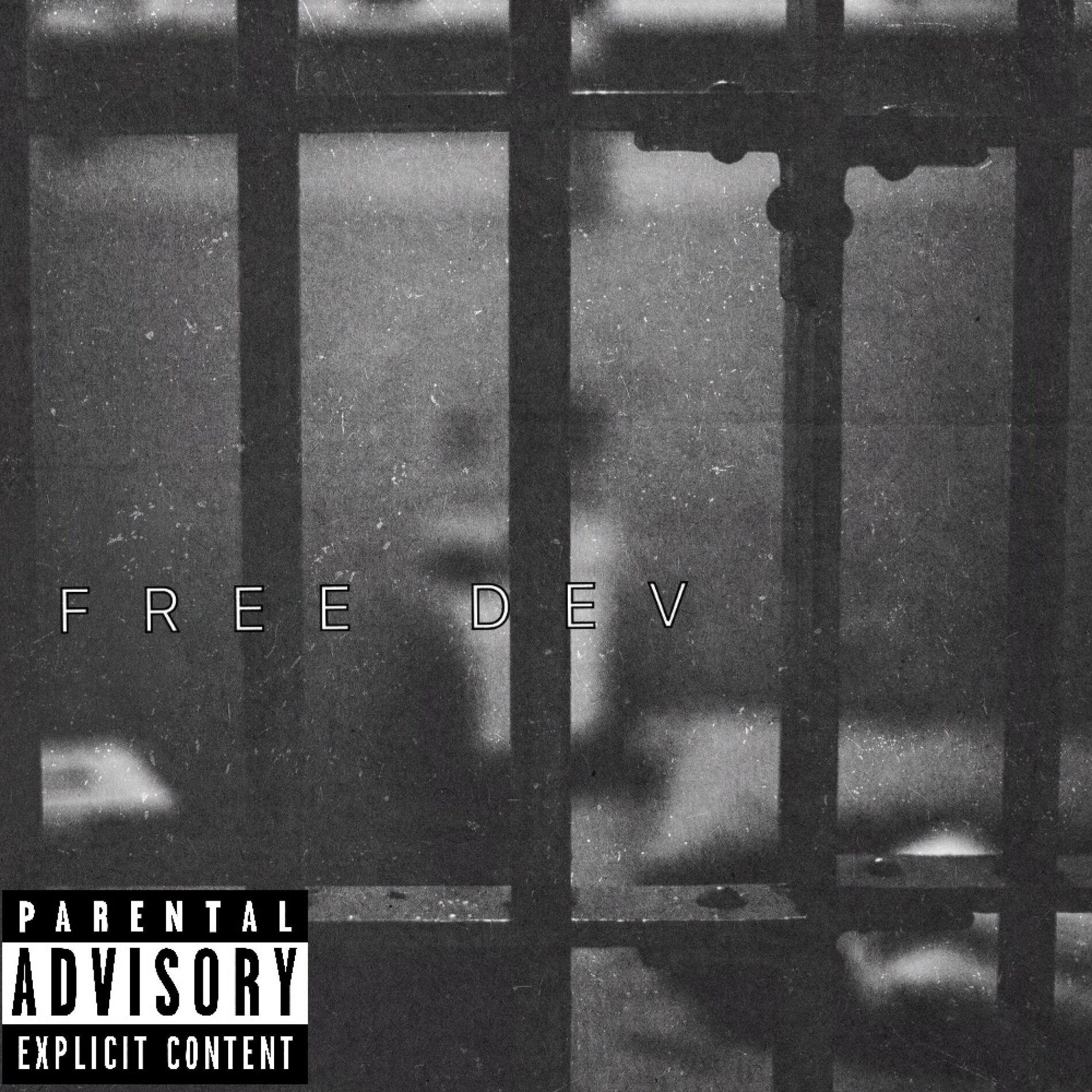 Album cover of FREE DEV