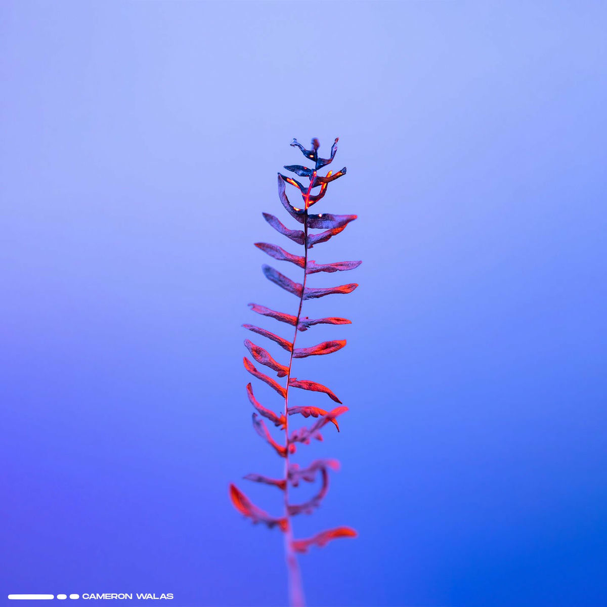 Album cover of Riverbend