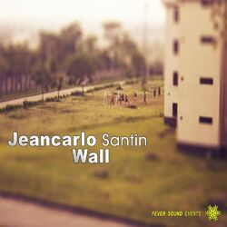 Cover of Wall