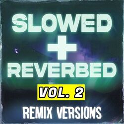 Slowed + Reverbed Remix Versions, Vol. 2