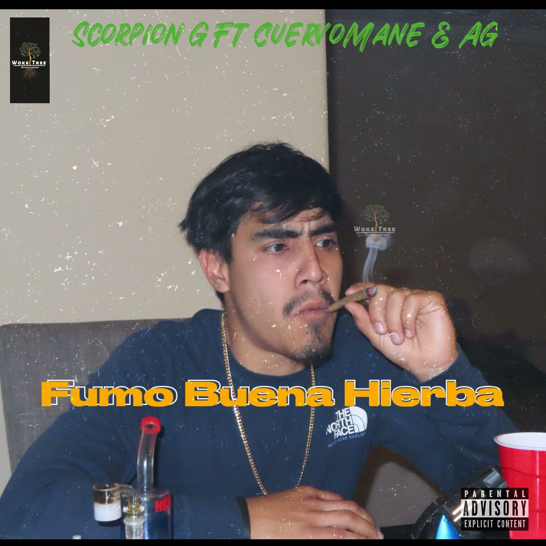 Album cover of Fumo Buena Hierba (feat. Scorpion G & AG)