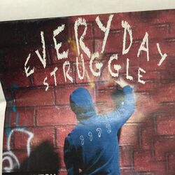 Cover of Everyday Struggle