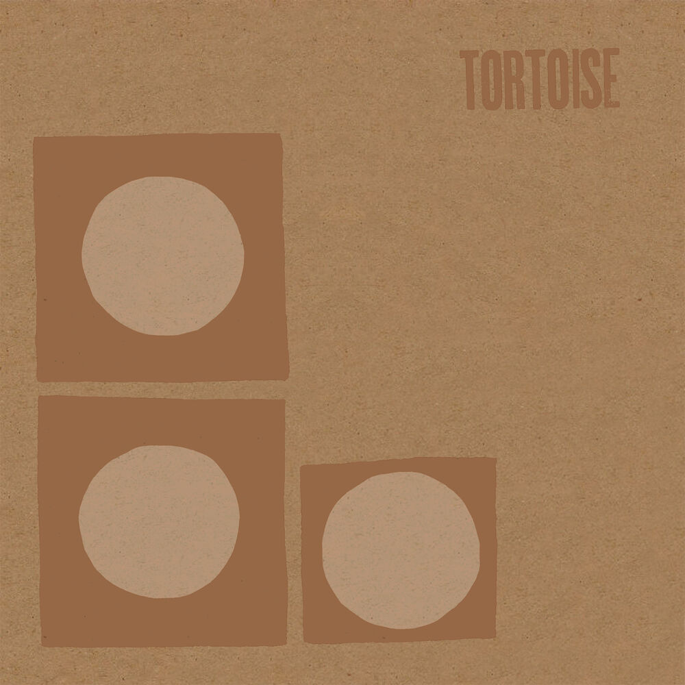 Picture of Tortoise