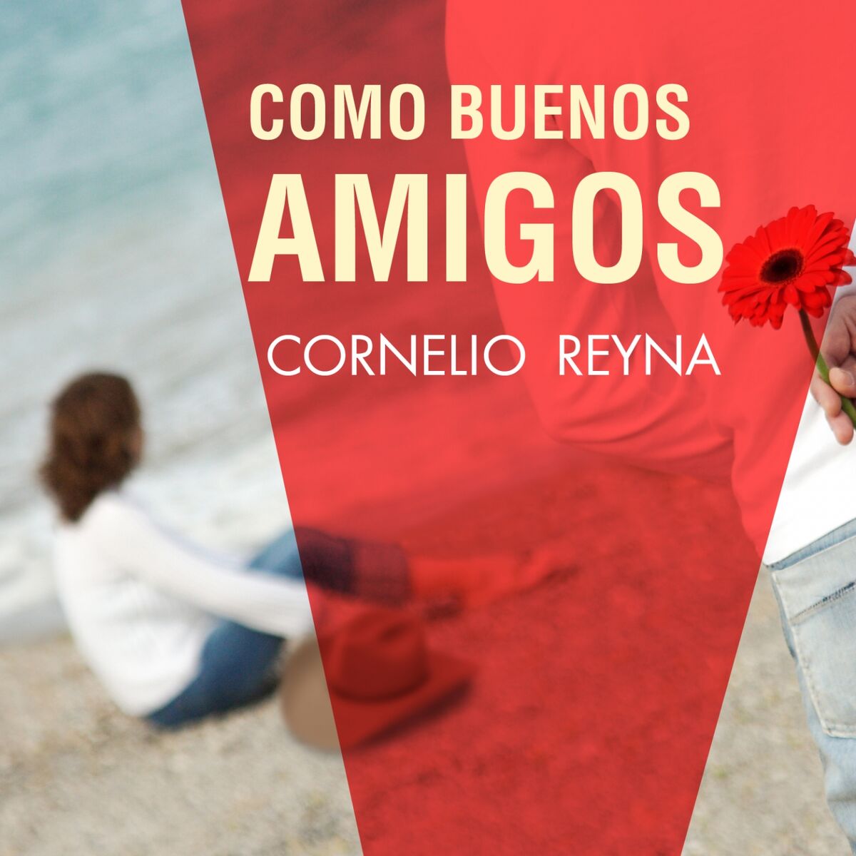 Album cover of Como Buenos Amigos
