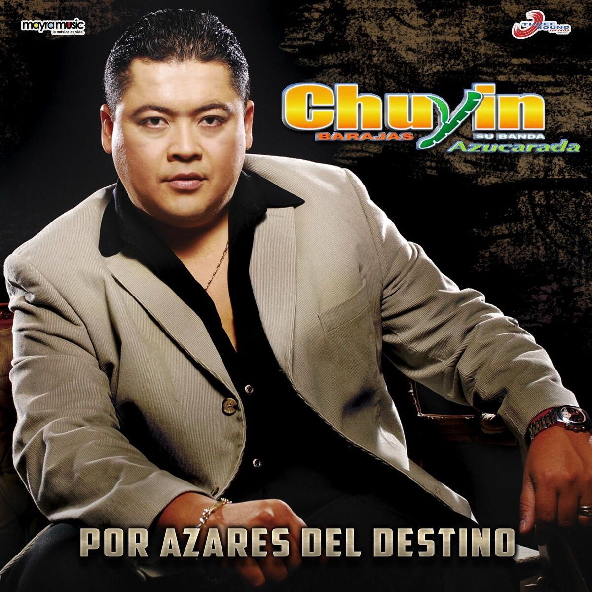 Album cover of Por Azares Del Destino