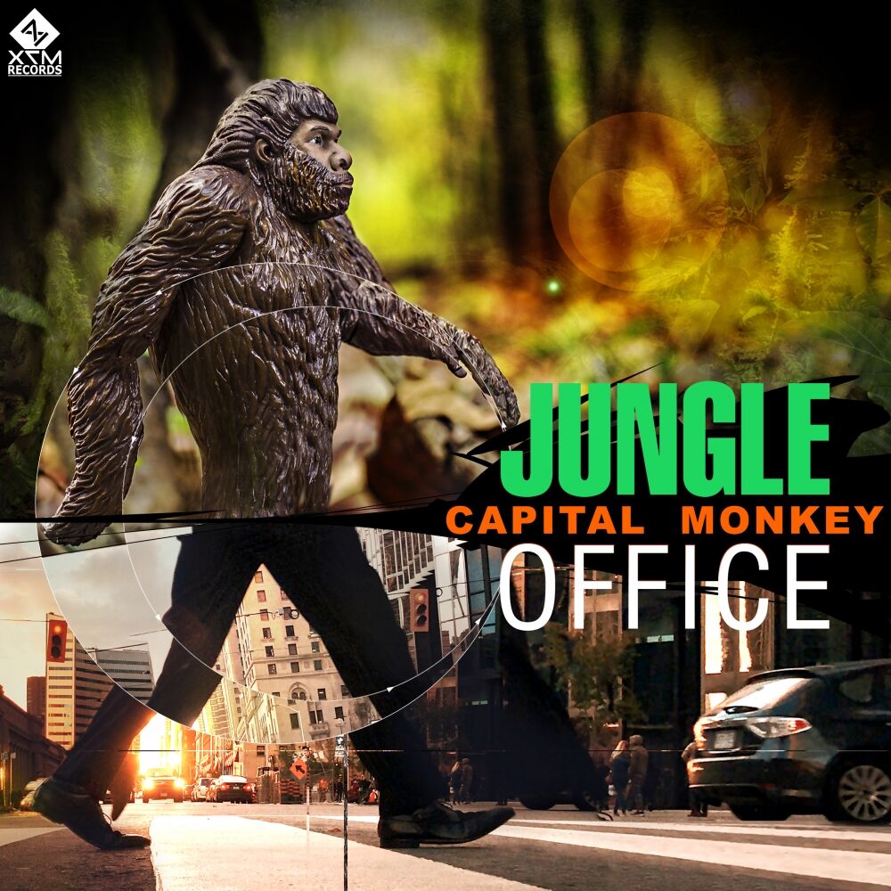 Picture of Jungle Office