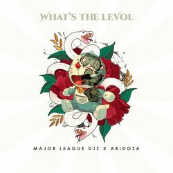 Cover of What's The Levol