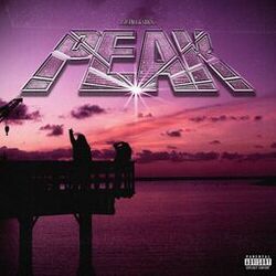 Cover of PEAK