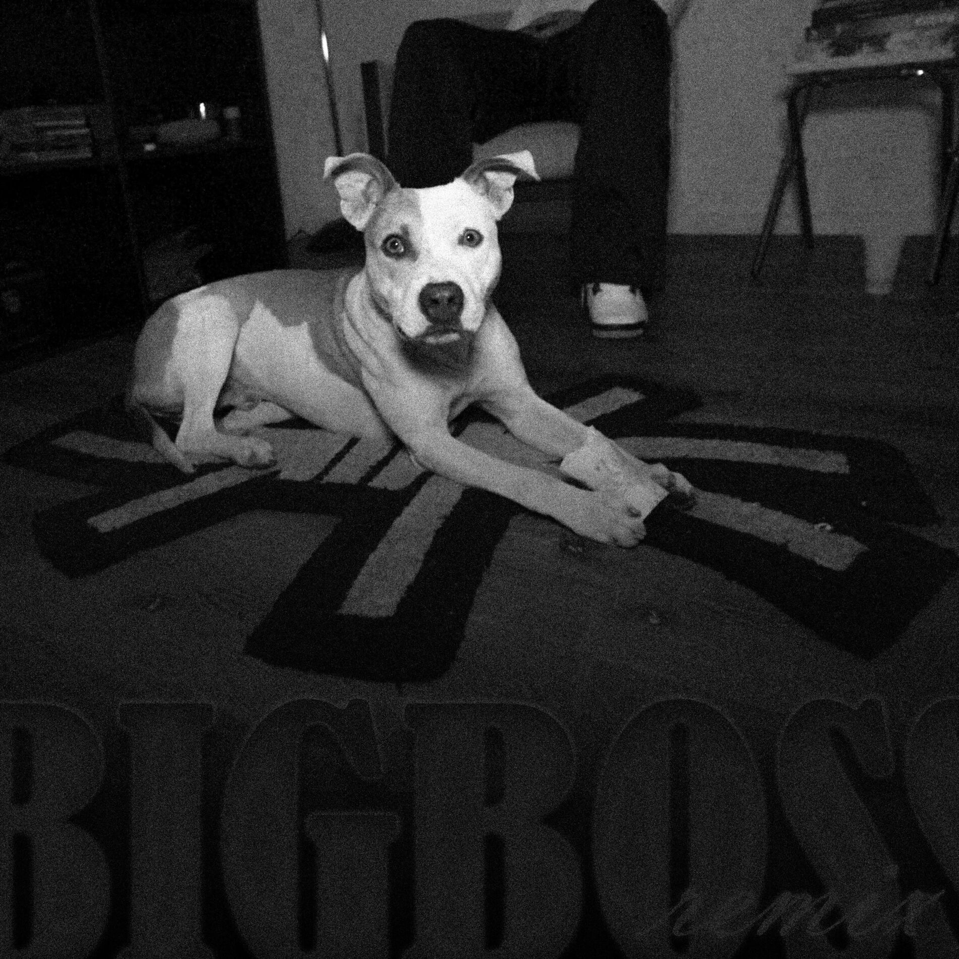 Album cover of Big Boss (Remix)
