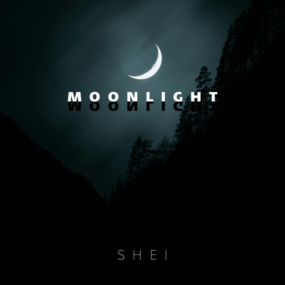 Picture of moonlight