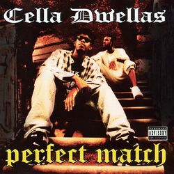 Cover of Perfect Match