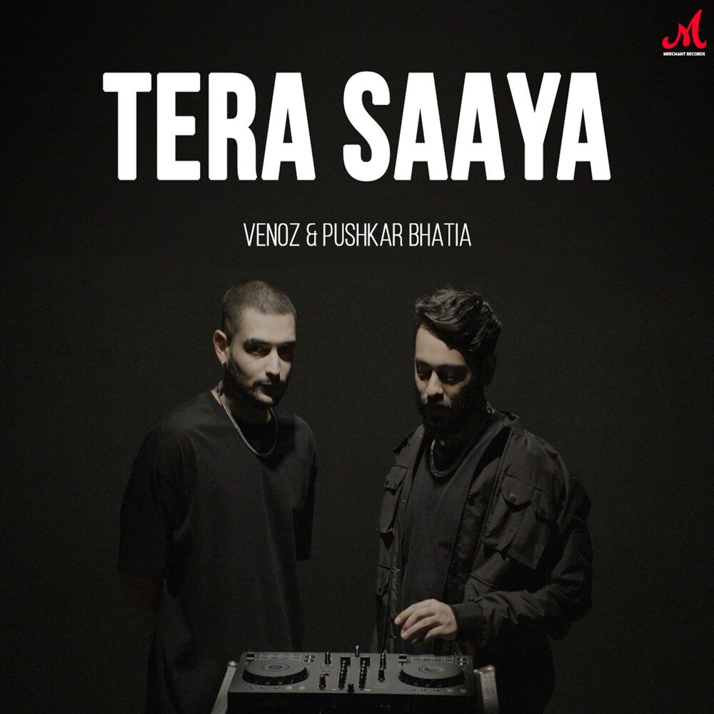 Picture of Tera Saaya