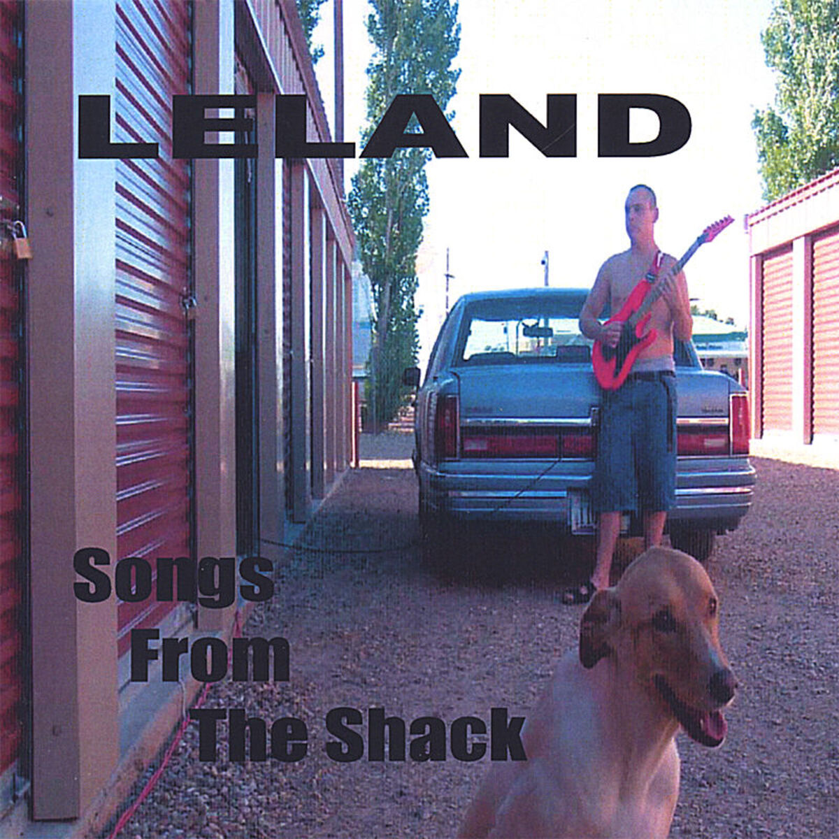 Album cover of Songs From The Shack