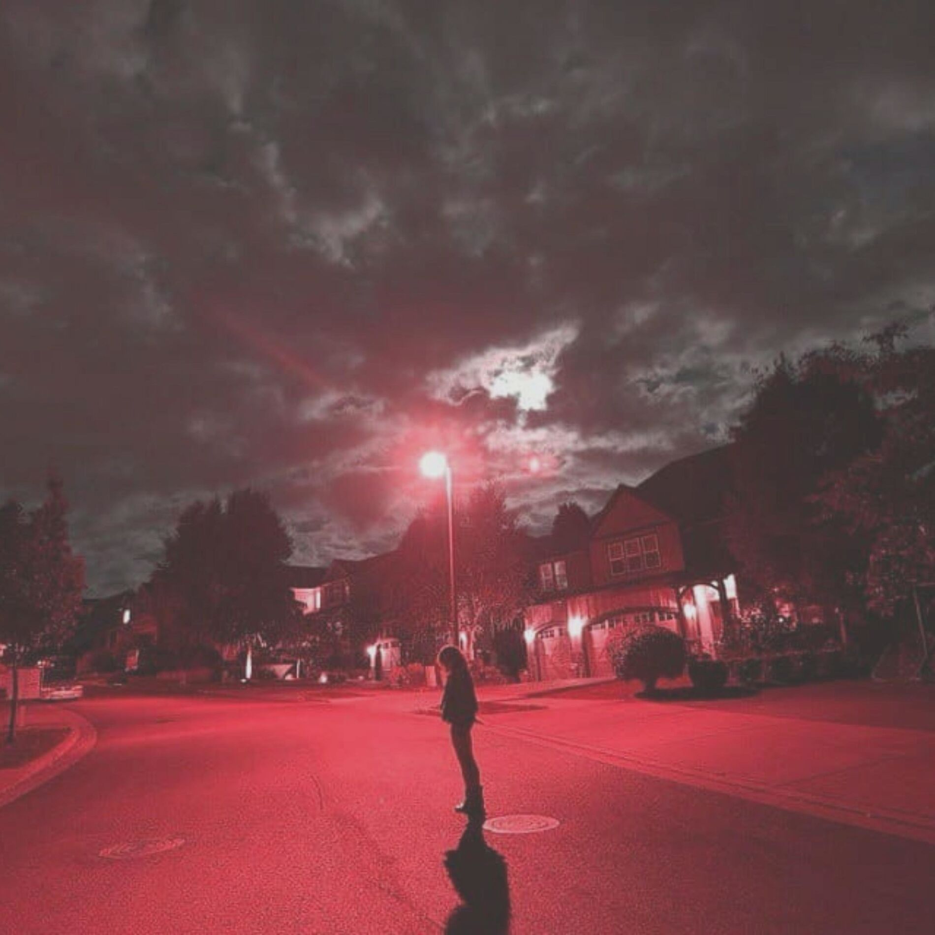 Album cover of surf.