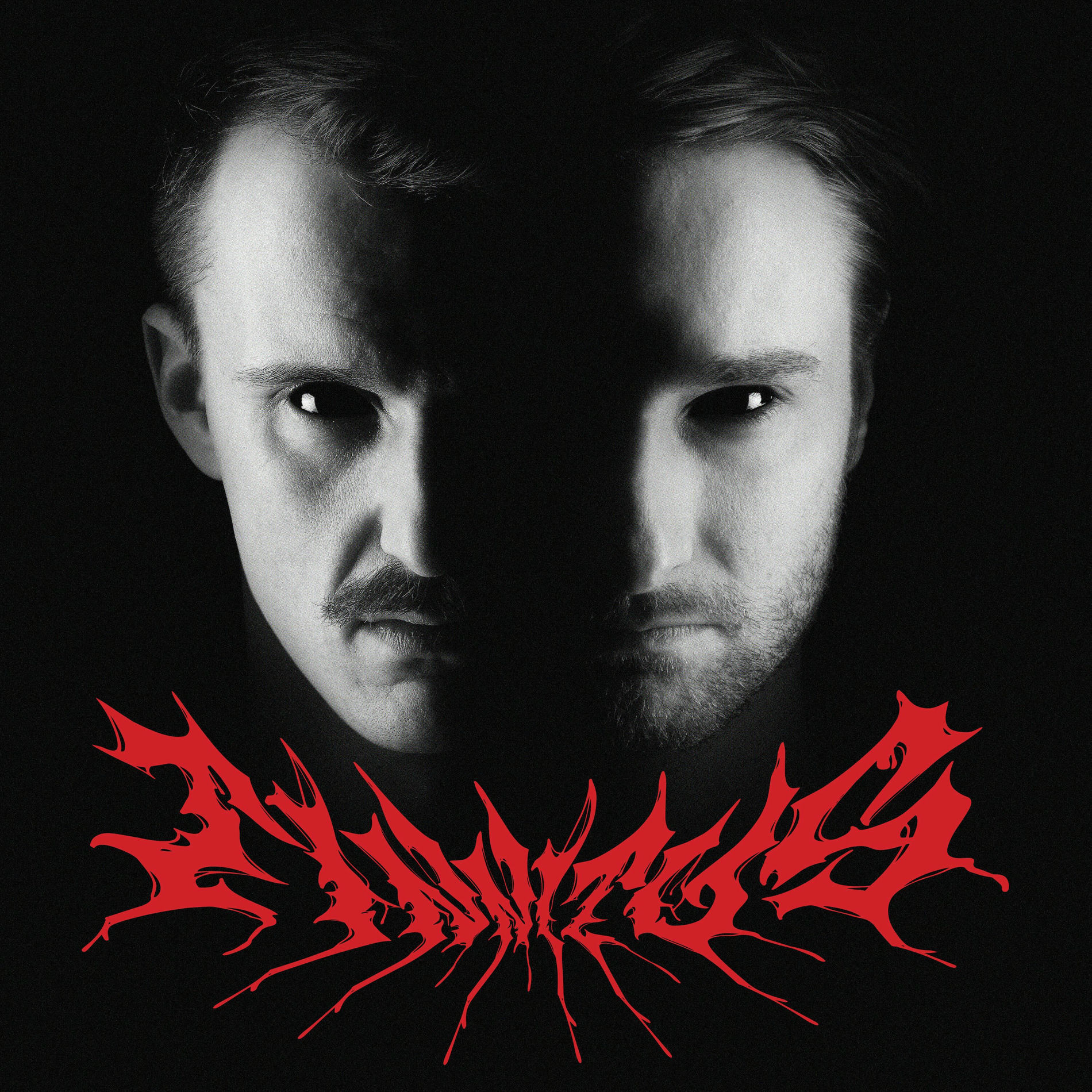 Album cover of Tinnitus