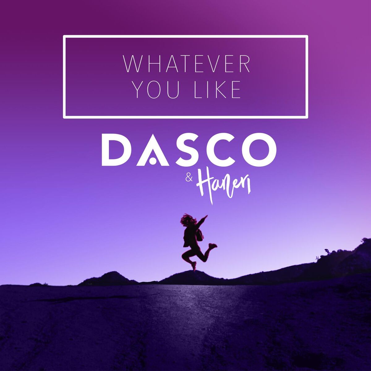 Album cover of Whatever You Like