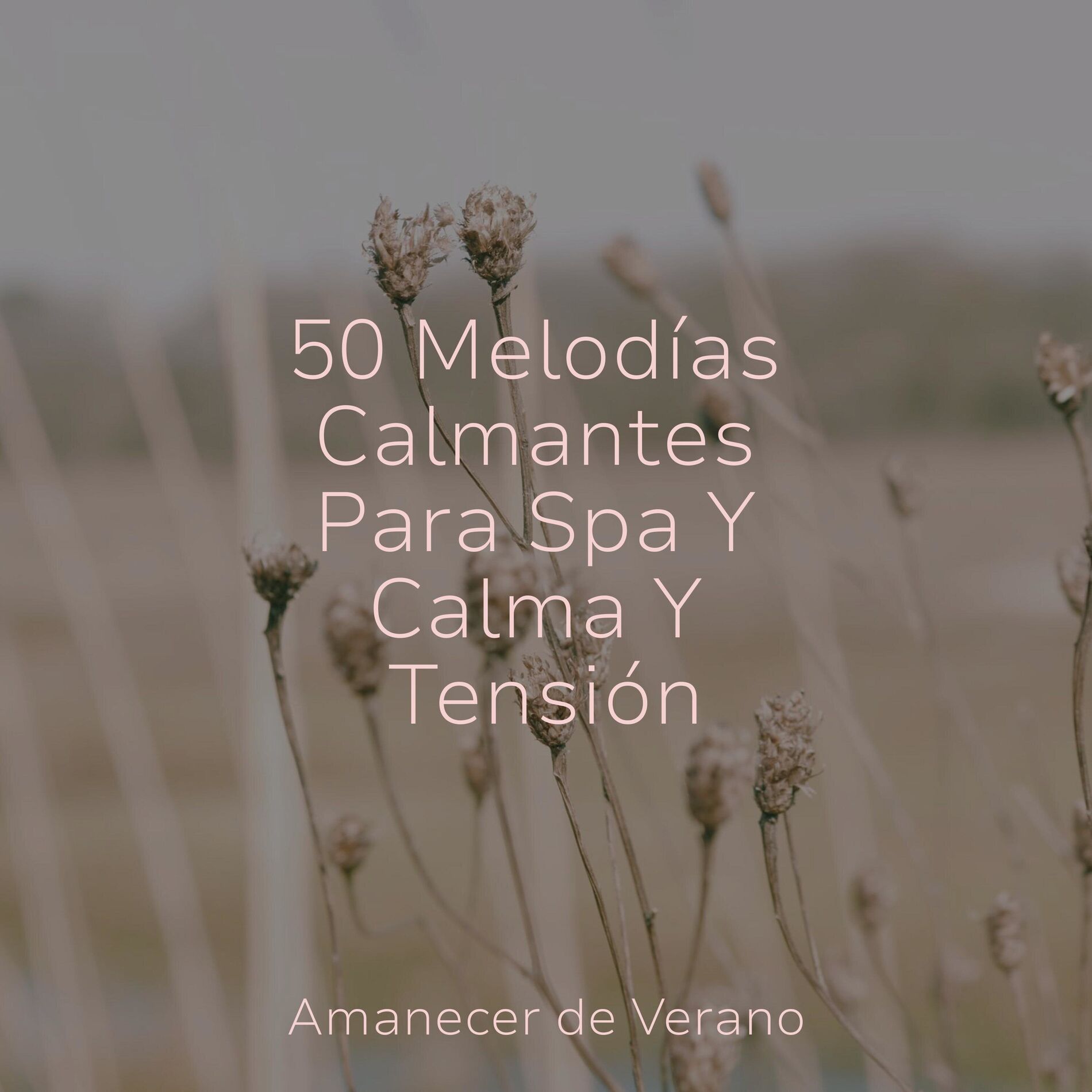 Album cover of 50 Melodías Calmantes Para Spa Y Calma Y Tensión