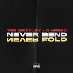 Cover of Never Bend Never Fold