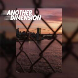 Cover of Another dimension