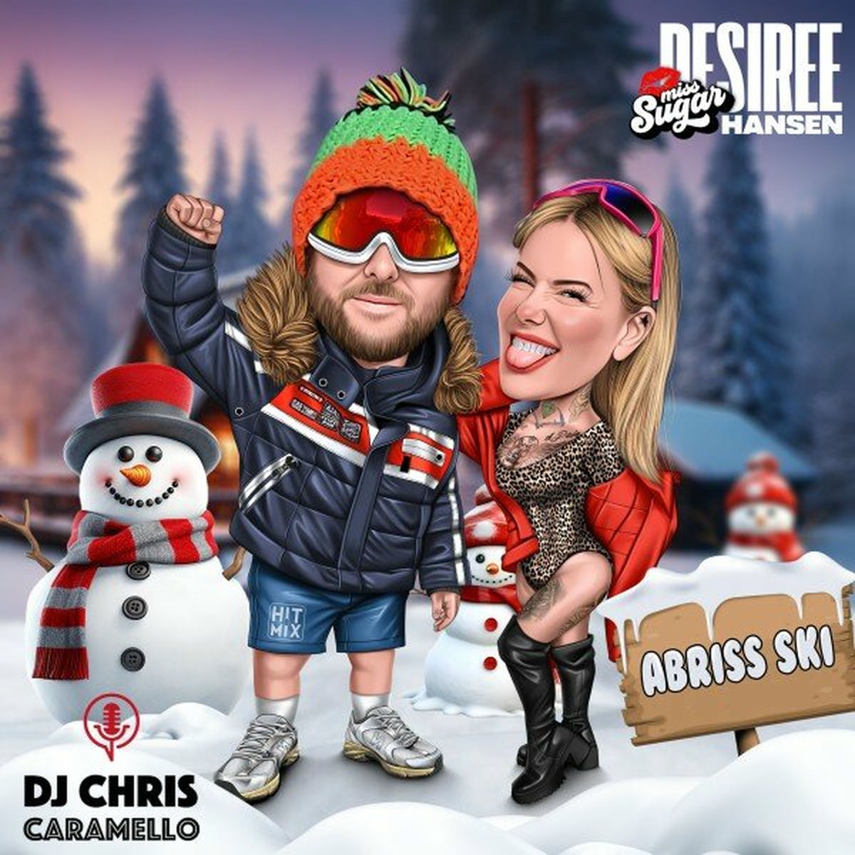 Album cover of Abriss Ski