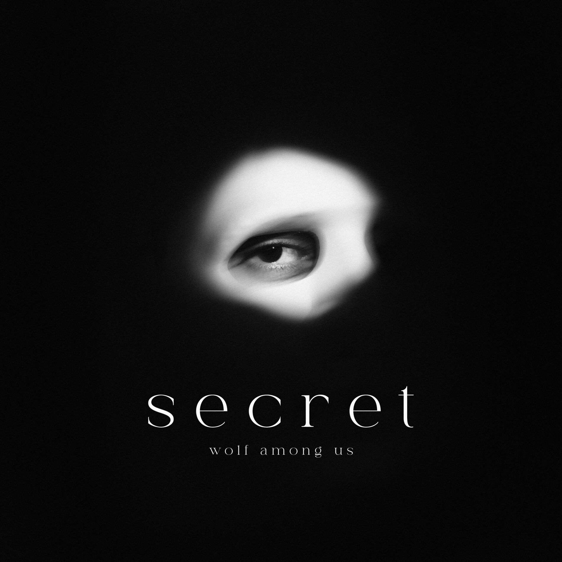 Album cover of secret