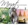 Mozart: Sinfonia concertante for Violin and Viola in E-Flat Major, K. 364: II. Andante