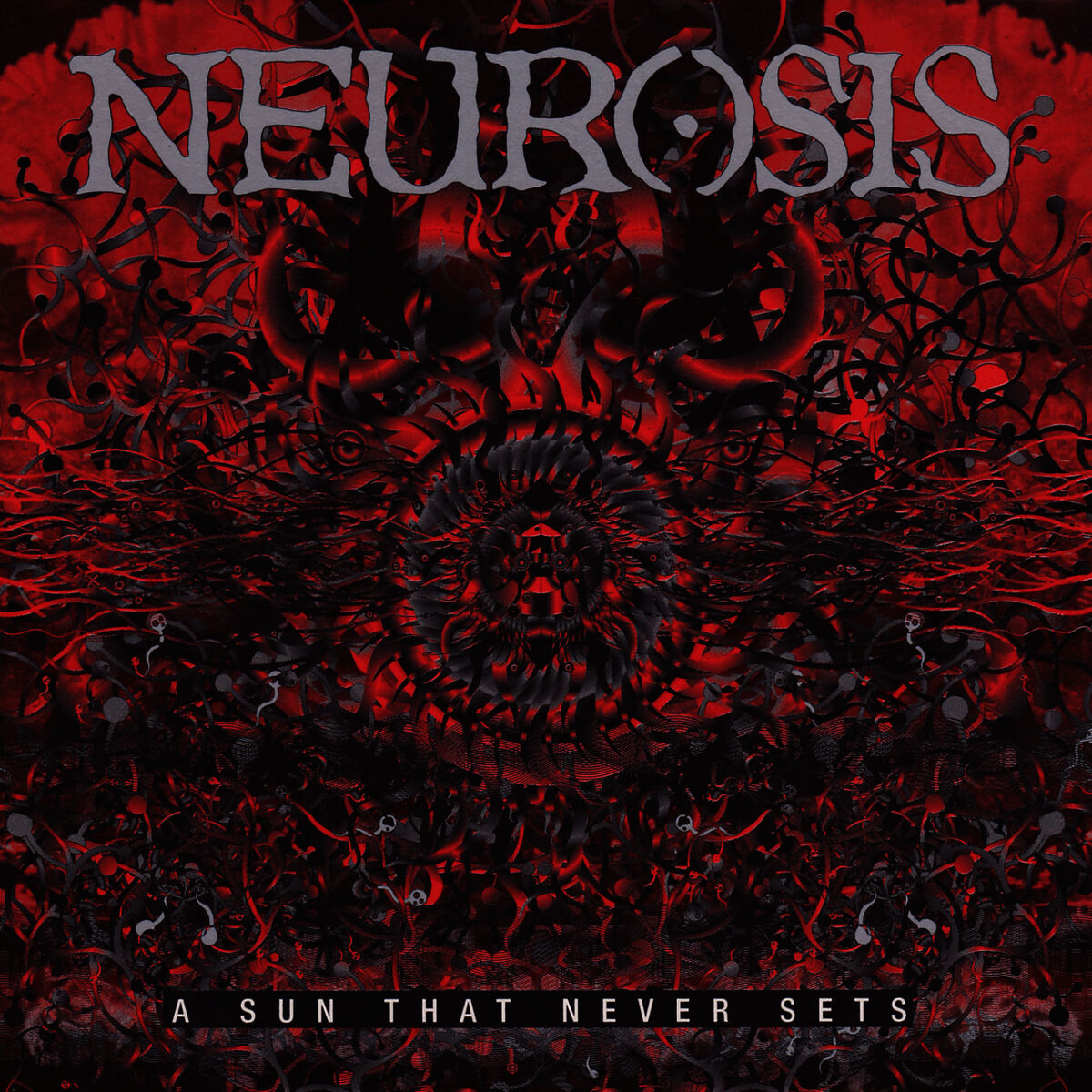 Album cover of From Where Its Roots Run