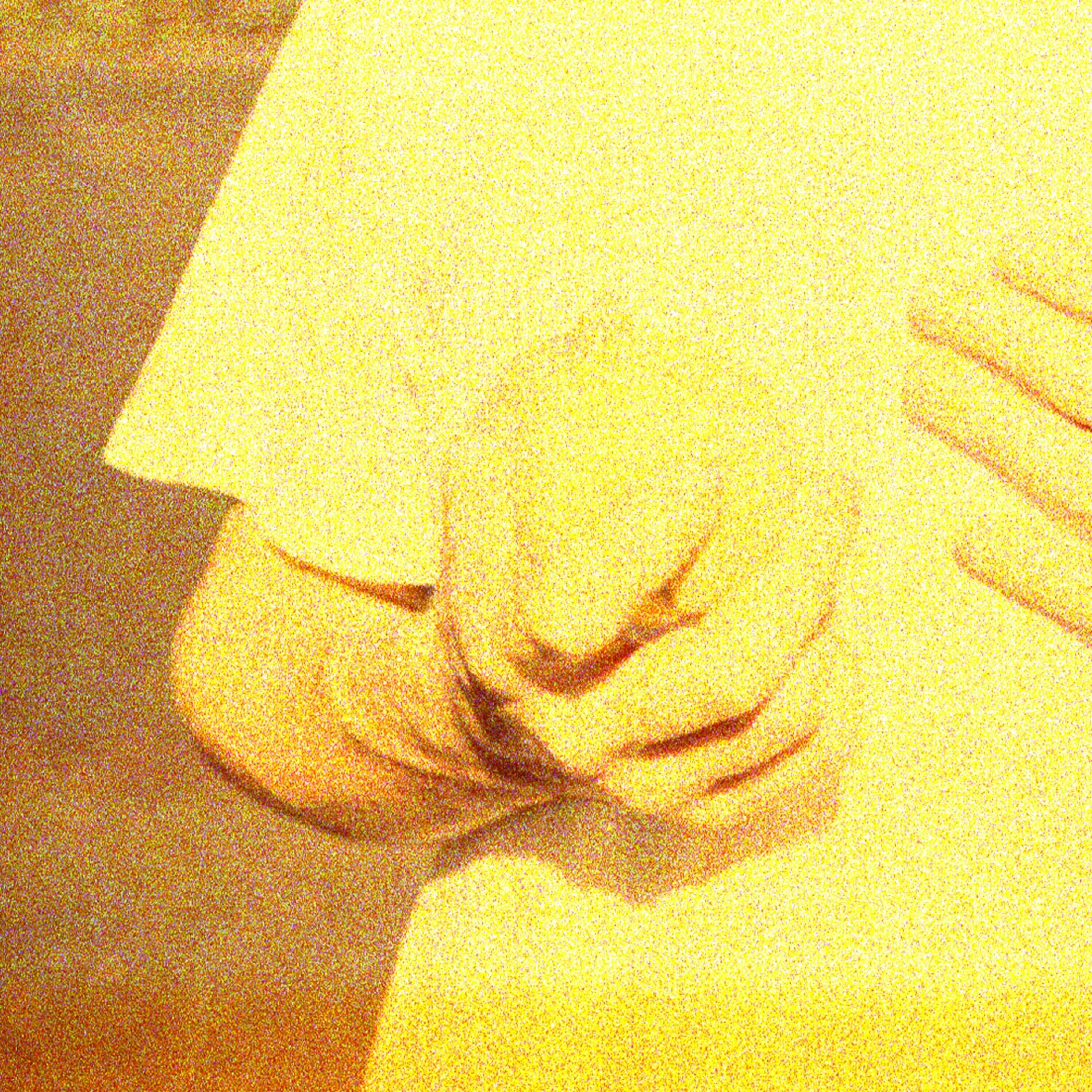 Album cover of Standardized