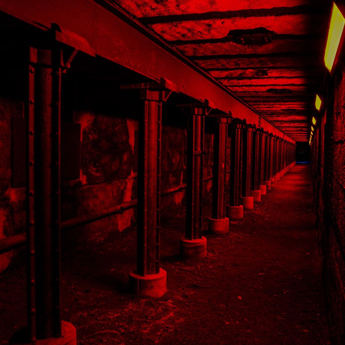 Album cover of Idelig