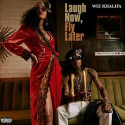 Cover of Laugh Now, Fly Later