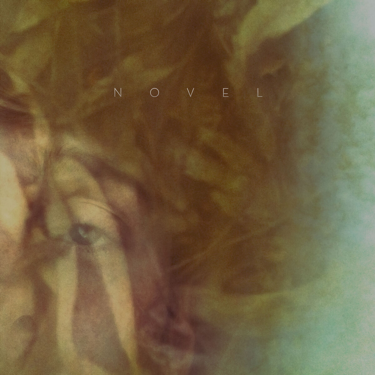 Album cover of Novel