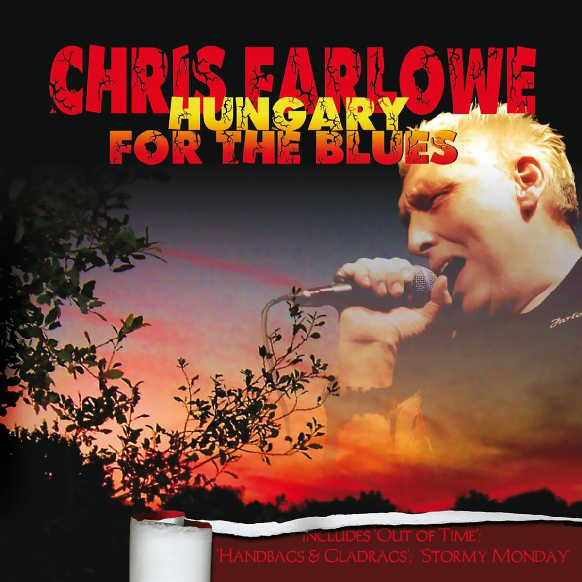 Album cover of Hungary for the Blues (Live)