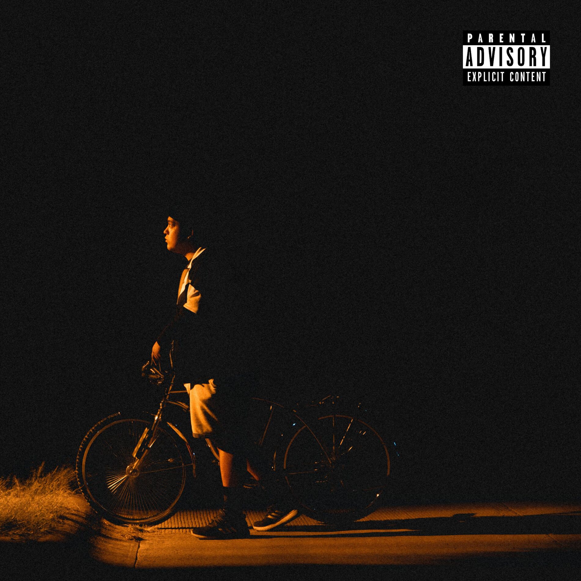 Album cover of Rayo de Luz
