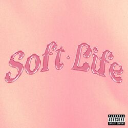 Cover of Soft Life