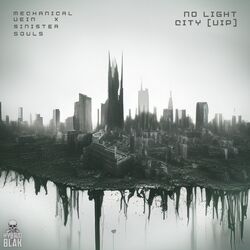 Cover of No Light City [VIP]