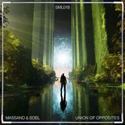Cover of Union Of Opposites