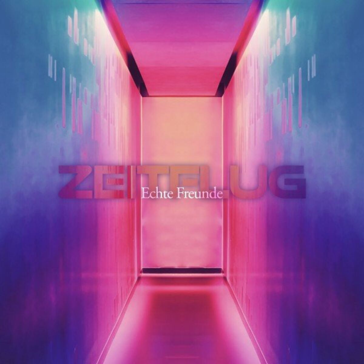 Album cover of Echte Freunde