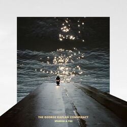 Cover of Sparked a Fire