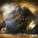 Cherokee by Neelix album cover
