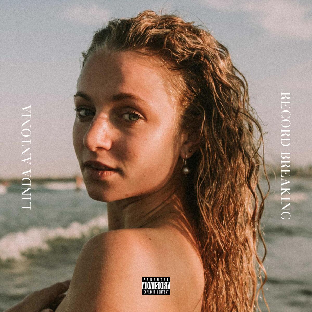 Album cover of Record Breaking