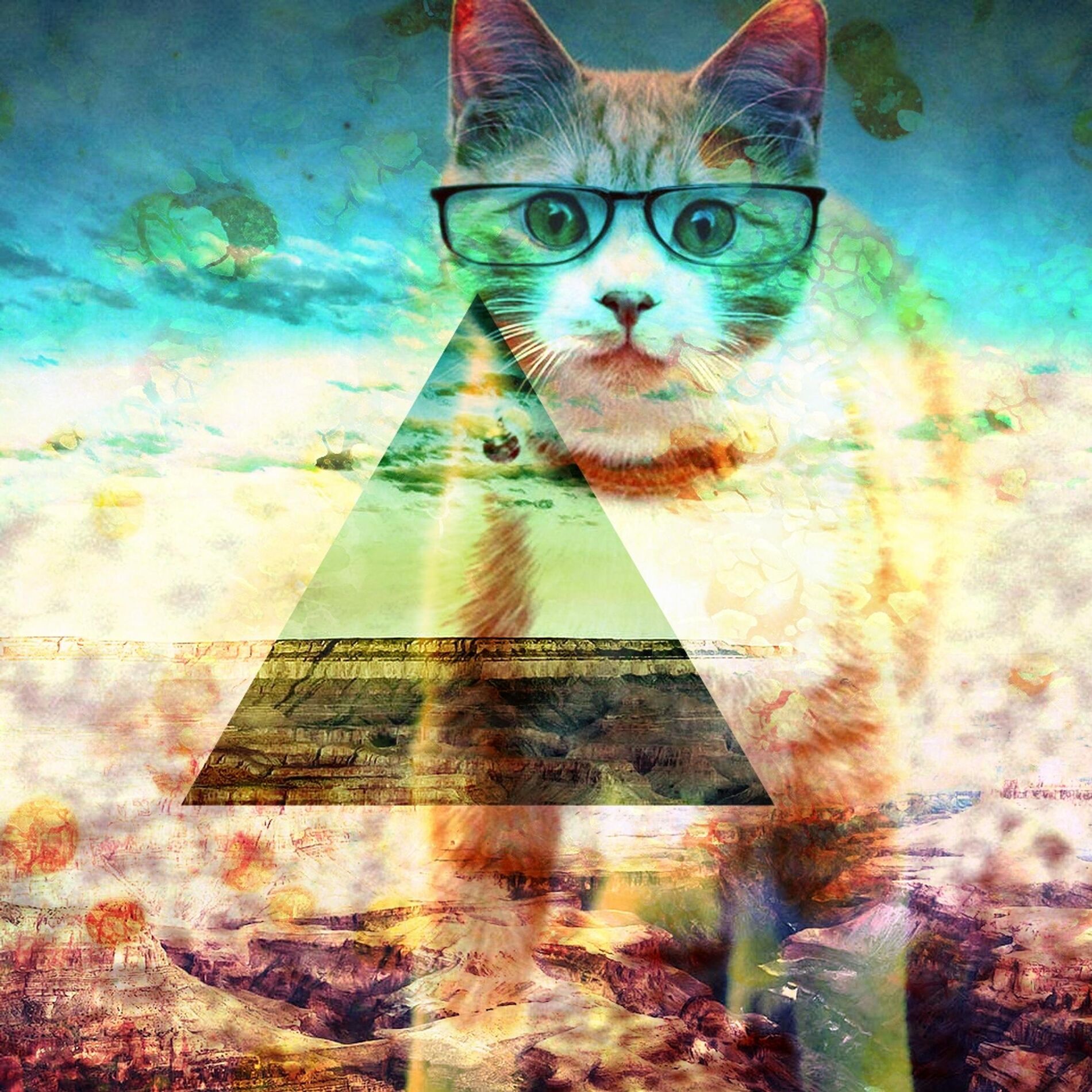 Album cover of Visionary