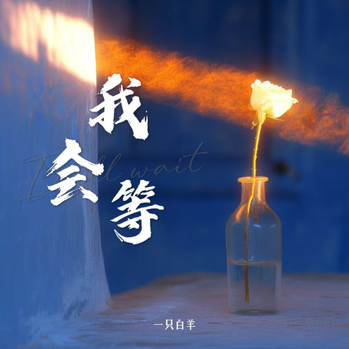 我会等 (纯享版)
