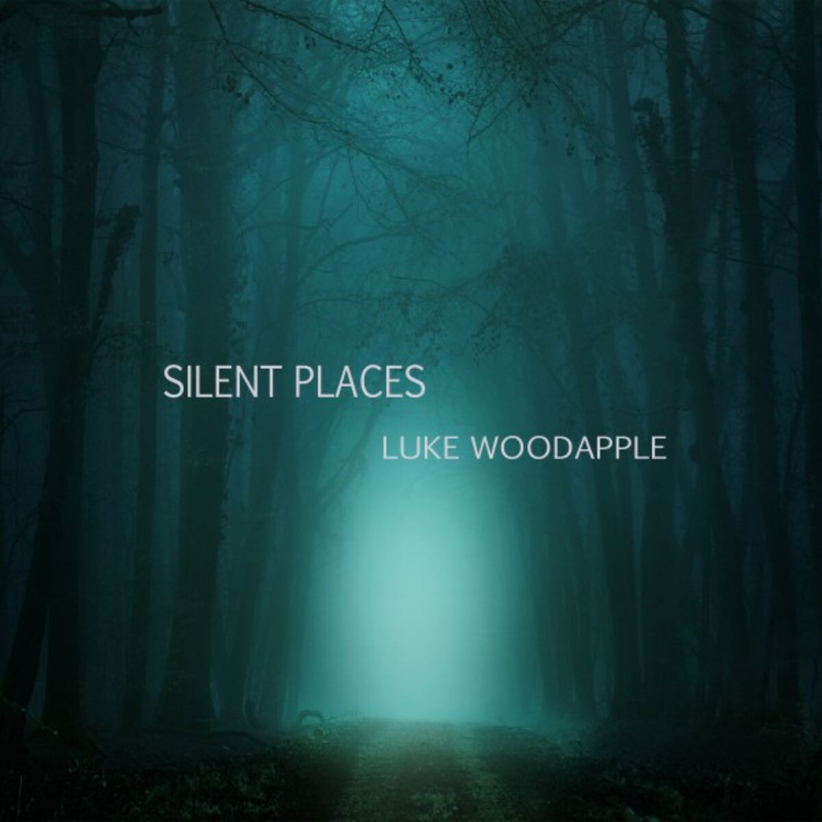 Album cover of Silent Places