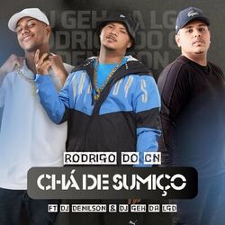 Cover of Chá de Sumiço