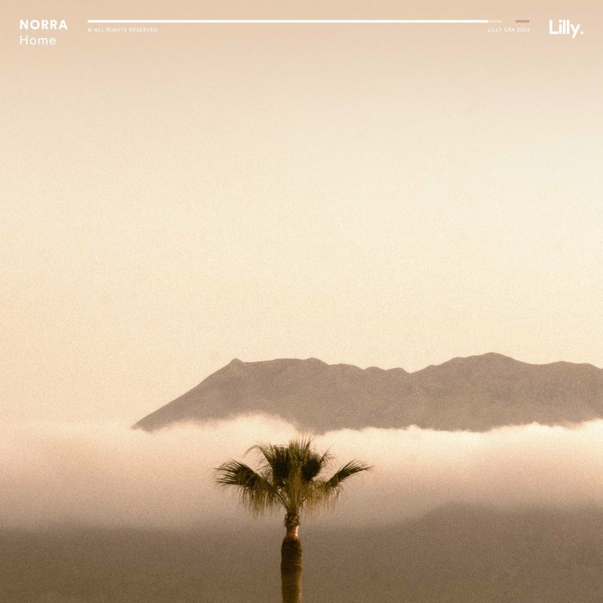 Album cover of Home