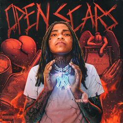 Cover of Open Scars