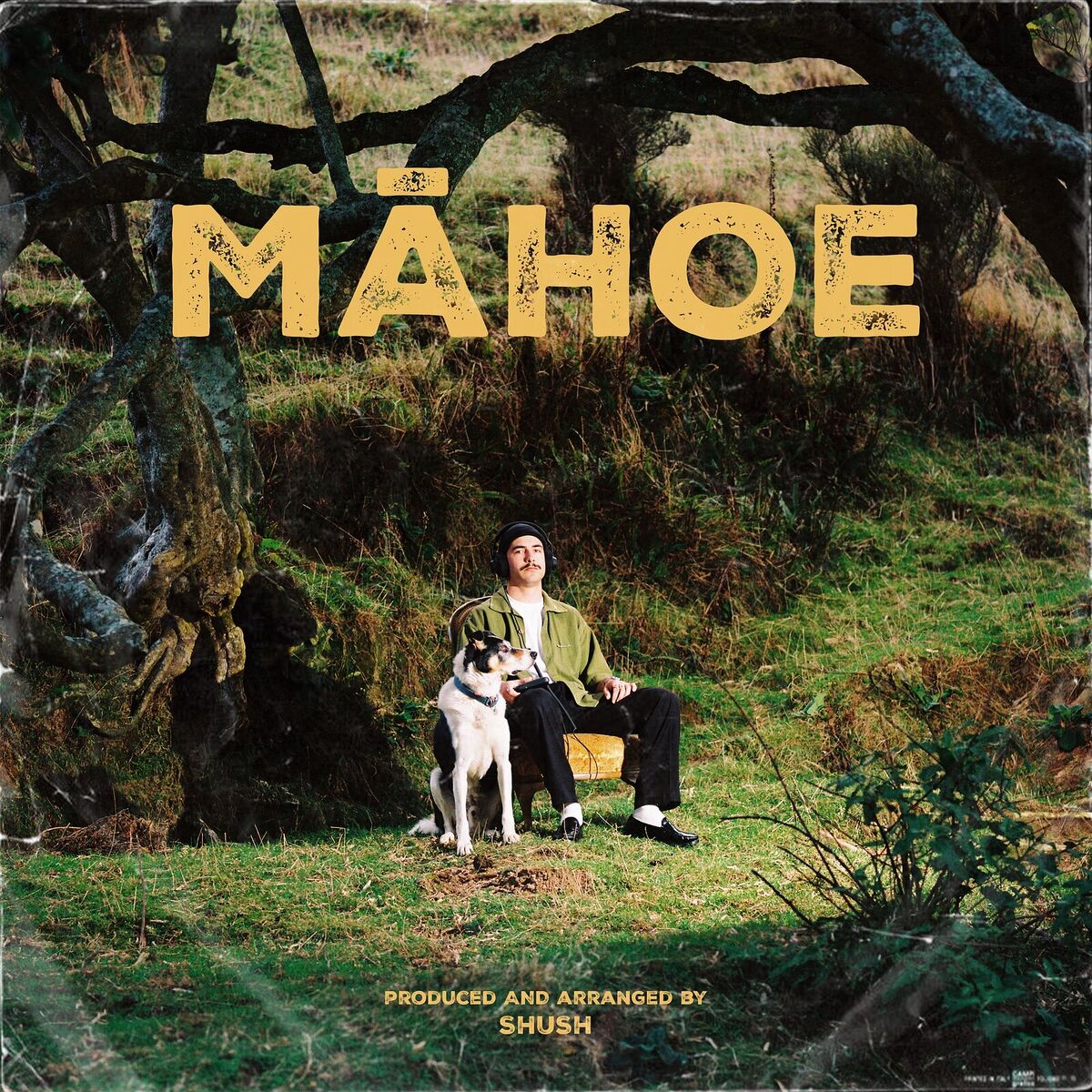 Album cover of Māhoe