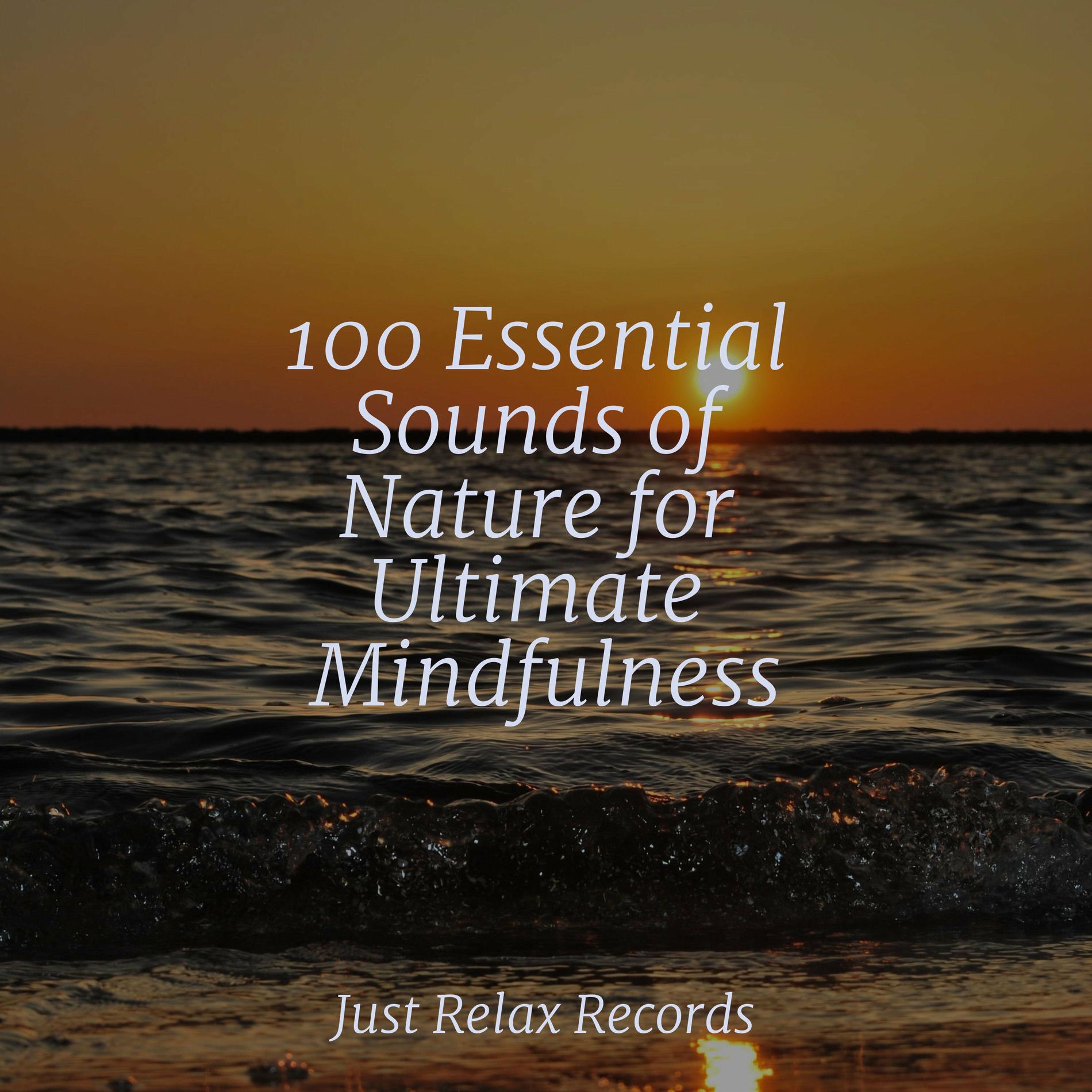 Album cover of 100 Essential Sounds of Nature for Ultimate Mindfulness